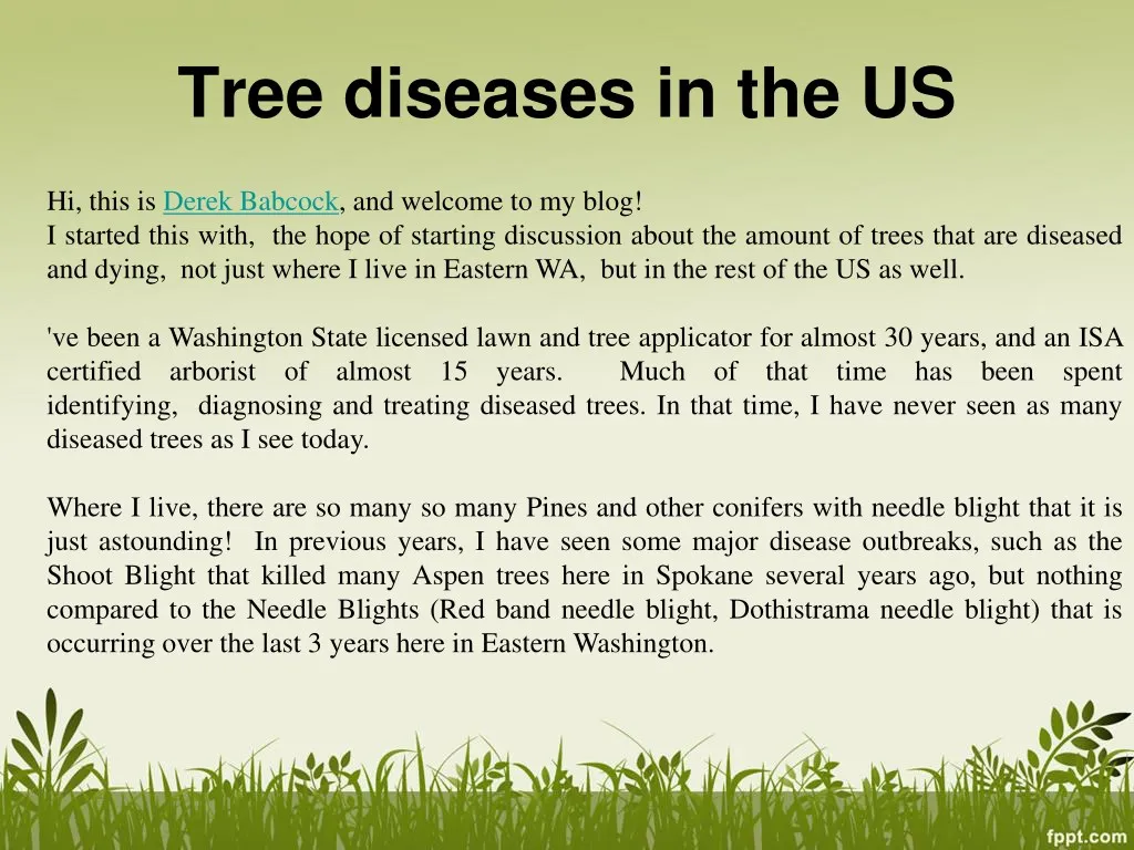 tree diseases in the us