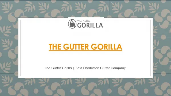 PPT Presentation for the website The Gutter Gorilla