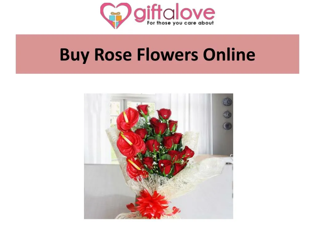 buy rose flowers o nline