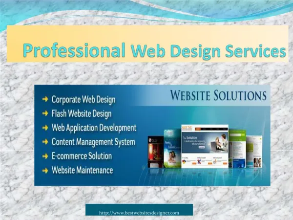 What do Professional Web Design Services Companies do for You?