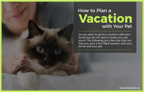 Tips for planning a vacation with your pet