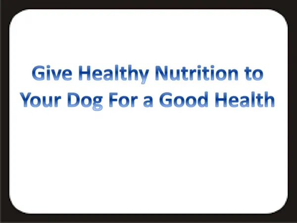 Give Healthy Nutrition to Your Dog for a Good Health