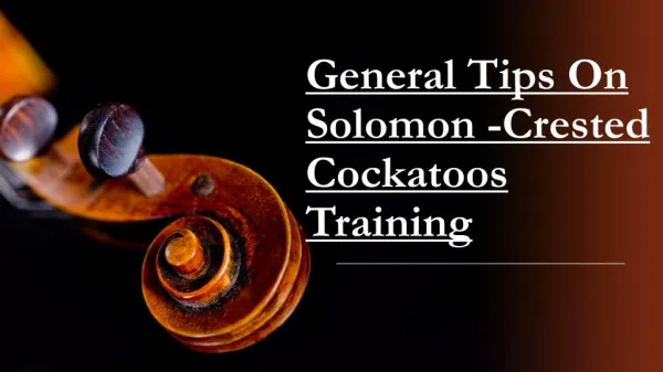 Solomon-Crested Cockatoos - General Tips On Training