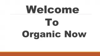 Best Organic Food Products - slide 1