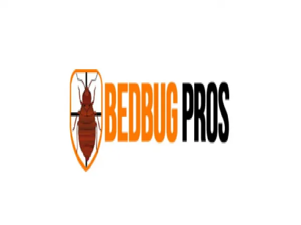 Effective Bed Bug Treatment Services