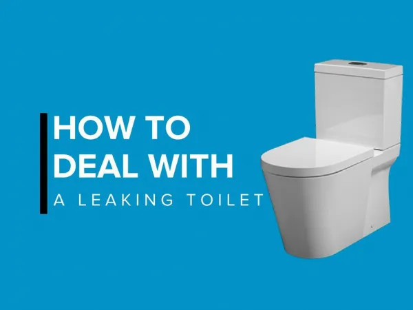 How to deal with a leaking toilet