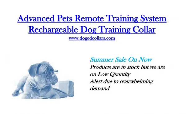 Advanced pets remote training system - Rechargeable dog training collar