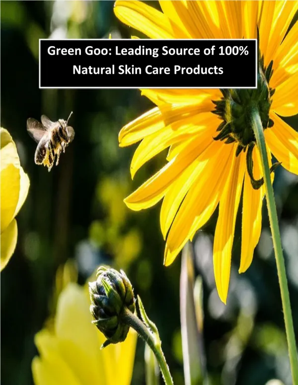 Green Goo: Leading Source of 100% Natural Skin Care Products