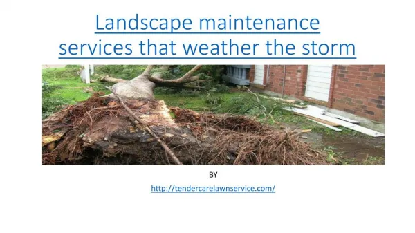 Landscape maintenance services that weather the storm