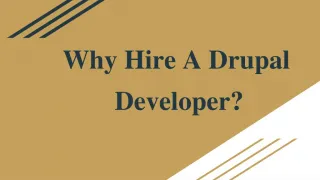 Why Hire Drupal Developer