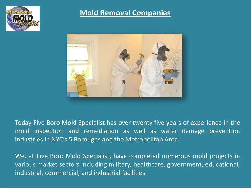 mold removal companies