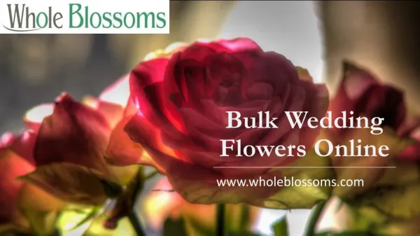 Bulk Wedding Flowers Online - www.wholeblossoms.com