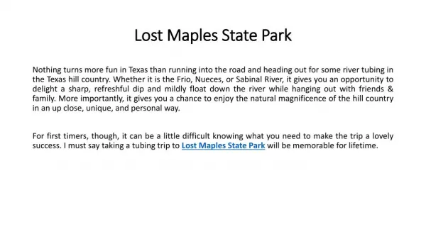 Lost Maples State Park