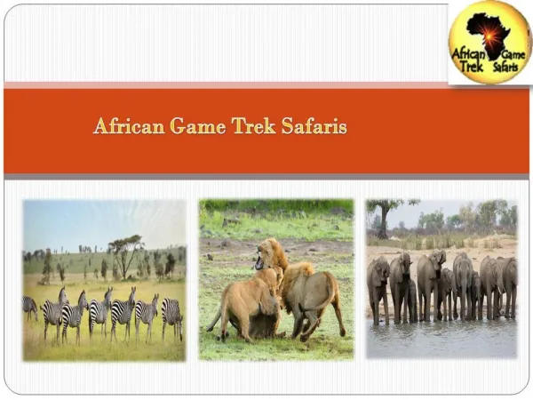 Planning to Going on Safari Tours In Kenya