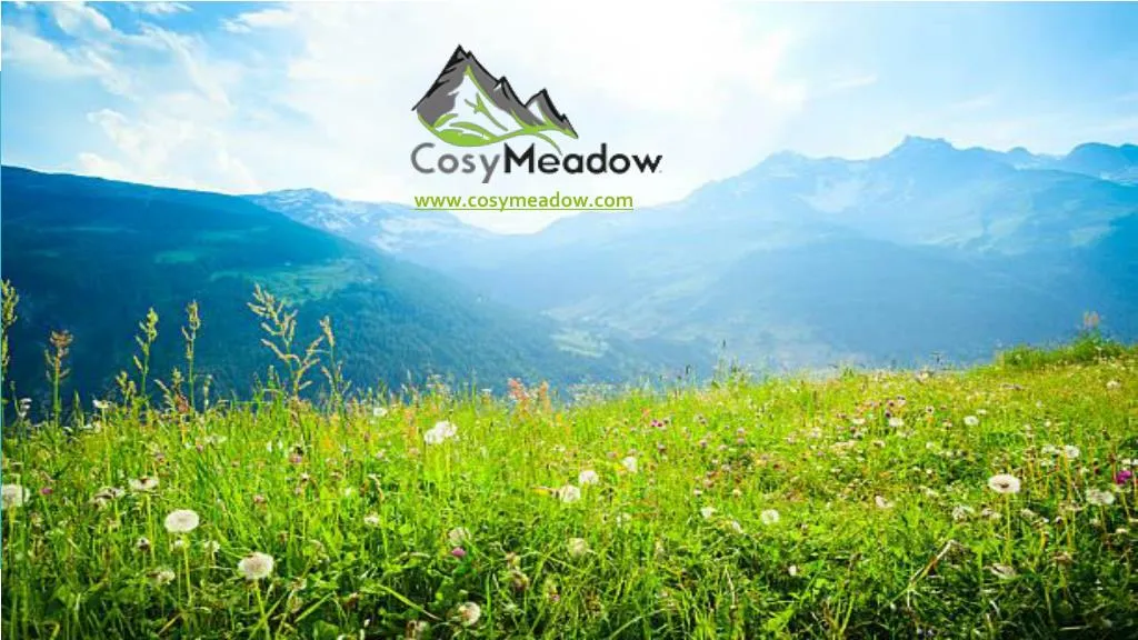 www cosymeadow com