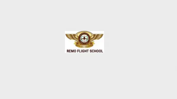 Pilot Training college in Chennai | Remo Flight