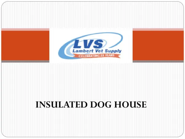 Dp Hunter Insulated Dog House