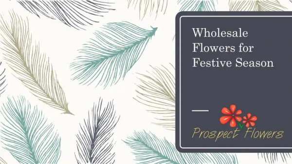 Wholesale Flowers for Festive Season | Prospect Flowers
