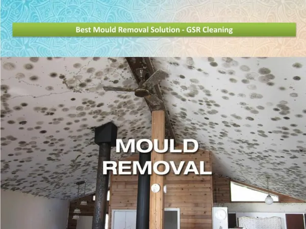 Best Mould Removal Solution - GSR Cleaning