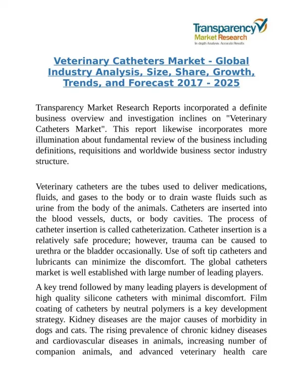 Veterinary Catheters Market - Competitive Dynamics and Global Industry Outlook 2025