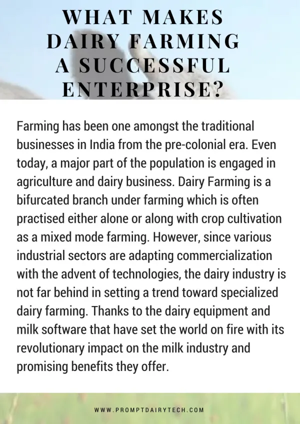 What Makes Dairy Farming a Successful Enterprise?