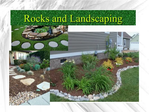 Rocks and landscaping