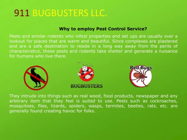 Pest Control Phoenix AZ | Ant Control Phoenix AZ | Bee Control