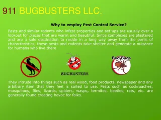 Pest Control Phoenix AZ | Ant Control Phoenix AZ |Phoenix - slide 1