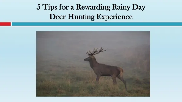 Tips for a Rewarding Rainy Day Deer Hunting Experience