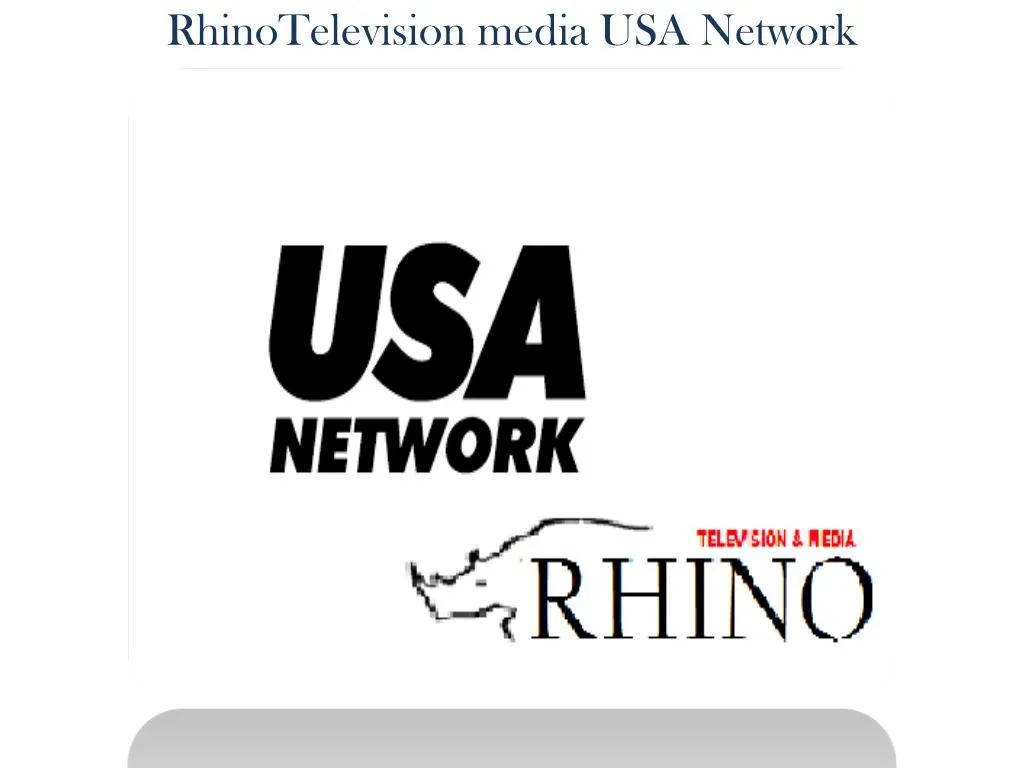 rhinotelevision media usa network