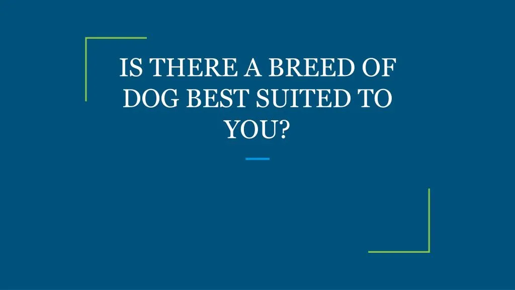 is there a breed of dog best suited to you