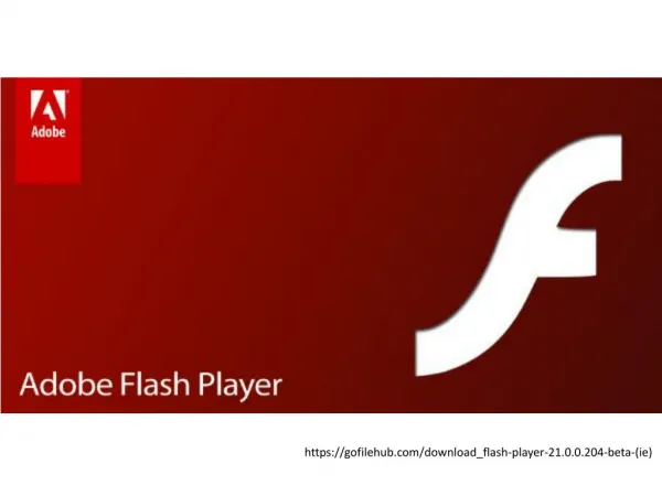 Download & Install The Flash Player Plug-In To View Videos, And Play Games Online| Gofilehub.Com