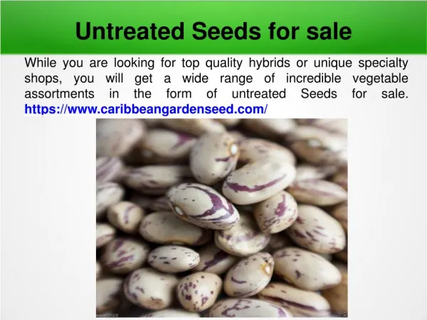 Buy Plant Seeds Online