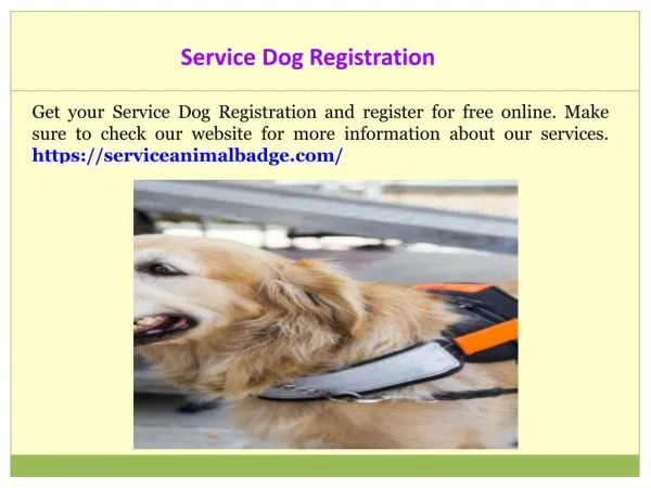 Service Animal Identification