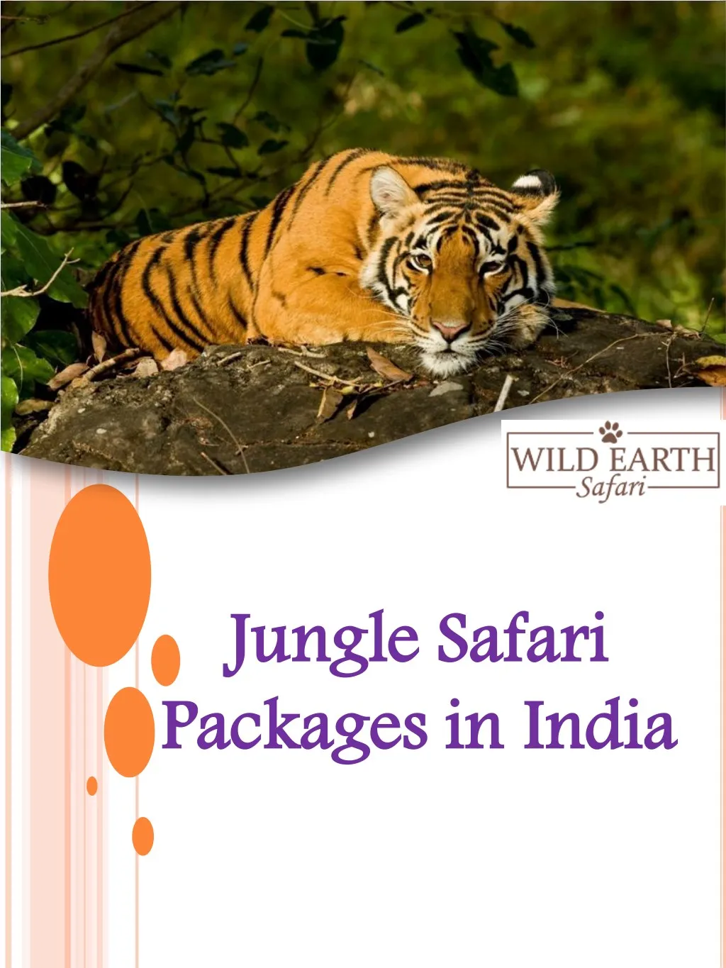 jungle safari packages in