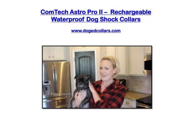 Comtech astro pro ii – Rechargeable waterproof dog shock collars