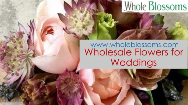 Wholesale Flowers for Weddings - www.wholeblossoms.com