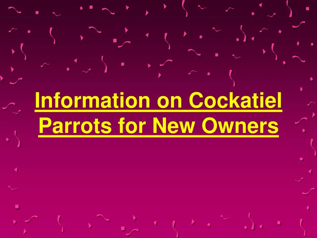 information on cockatiel parrots for new owners