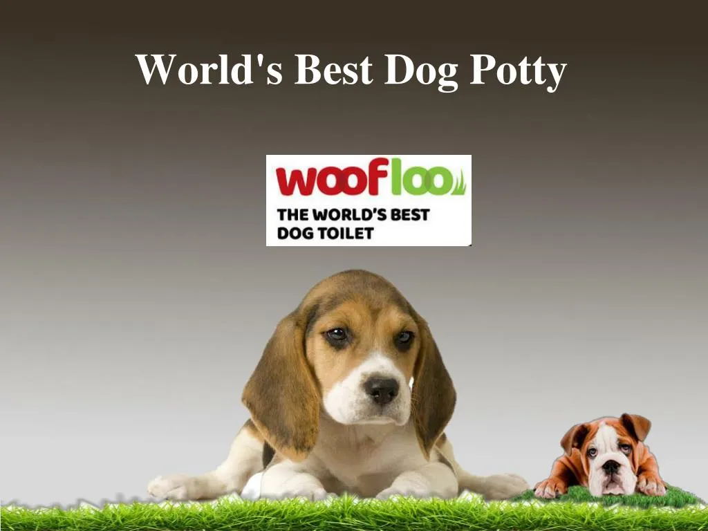 world s best dog potty