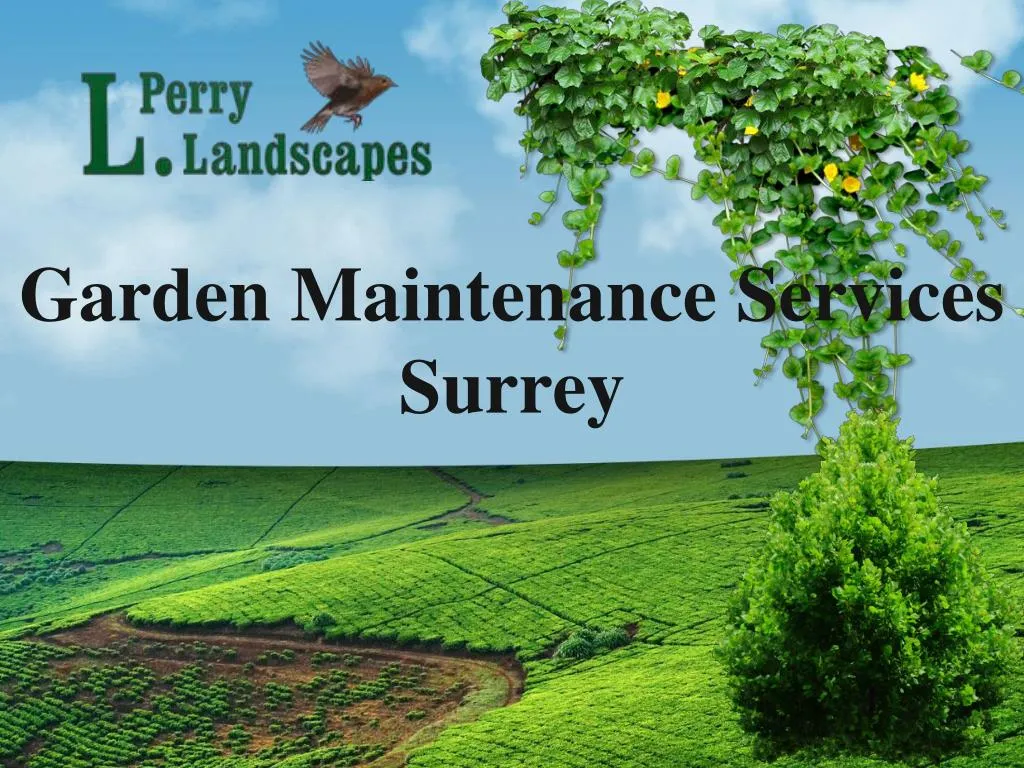 garden maintenance services surrey