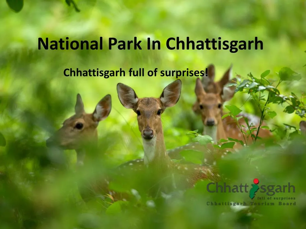 national park in chhattisgarh
