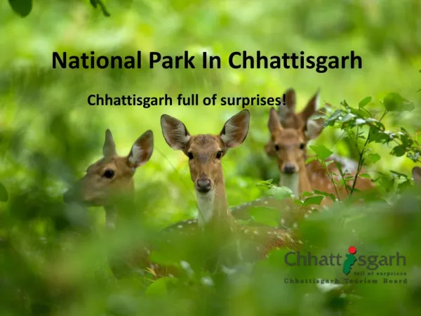 National park in Chhattisgarh ppt