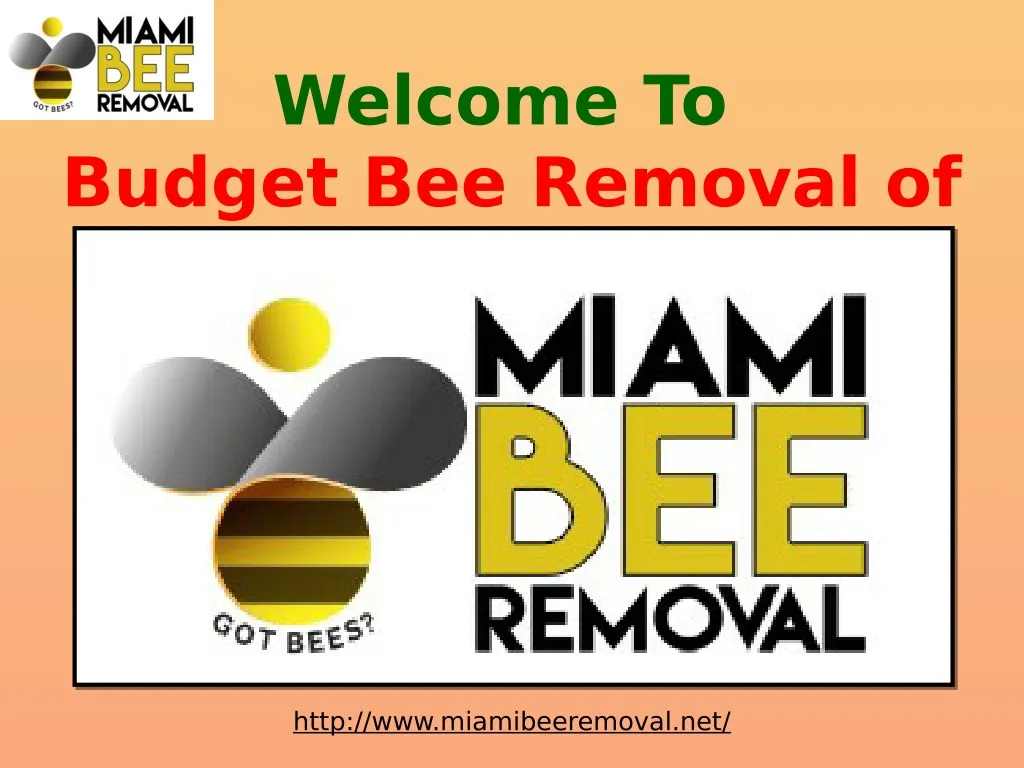 welcome to budget bee removal of texas