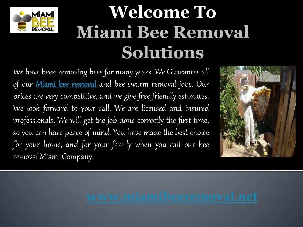 welcome to miami bee removal solutions