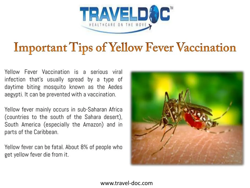 important tips of yellow fever vaccination