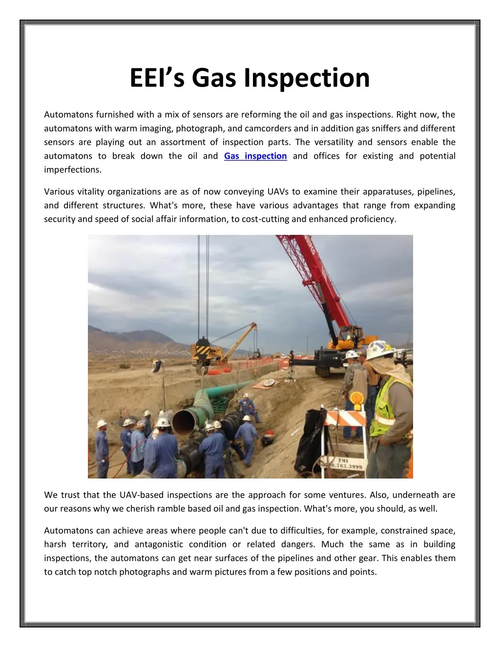 eei s gas inspection