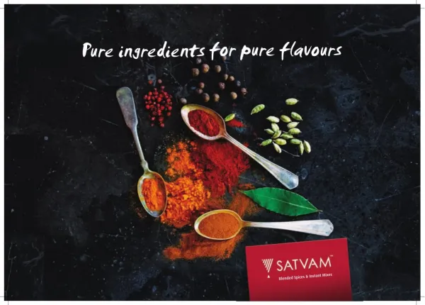 Explore Range of Satvam Indian Spices and Instant Mix Products
