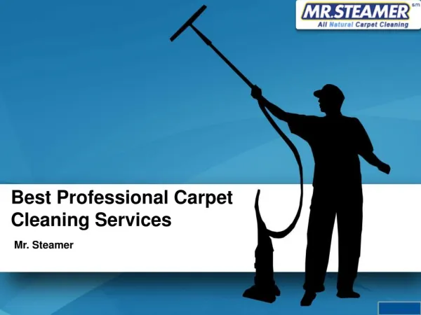 Mr.Steamer Carpet Cleaning Services
