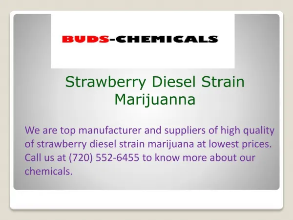 Strawberry Diesel Strain Marijuanna