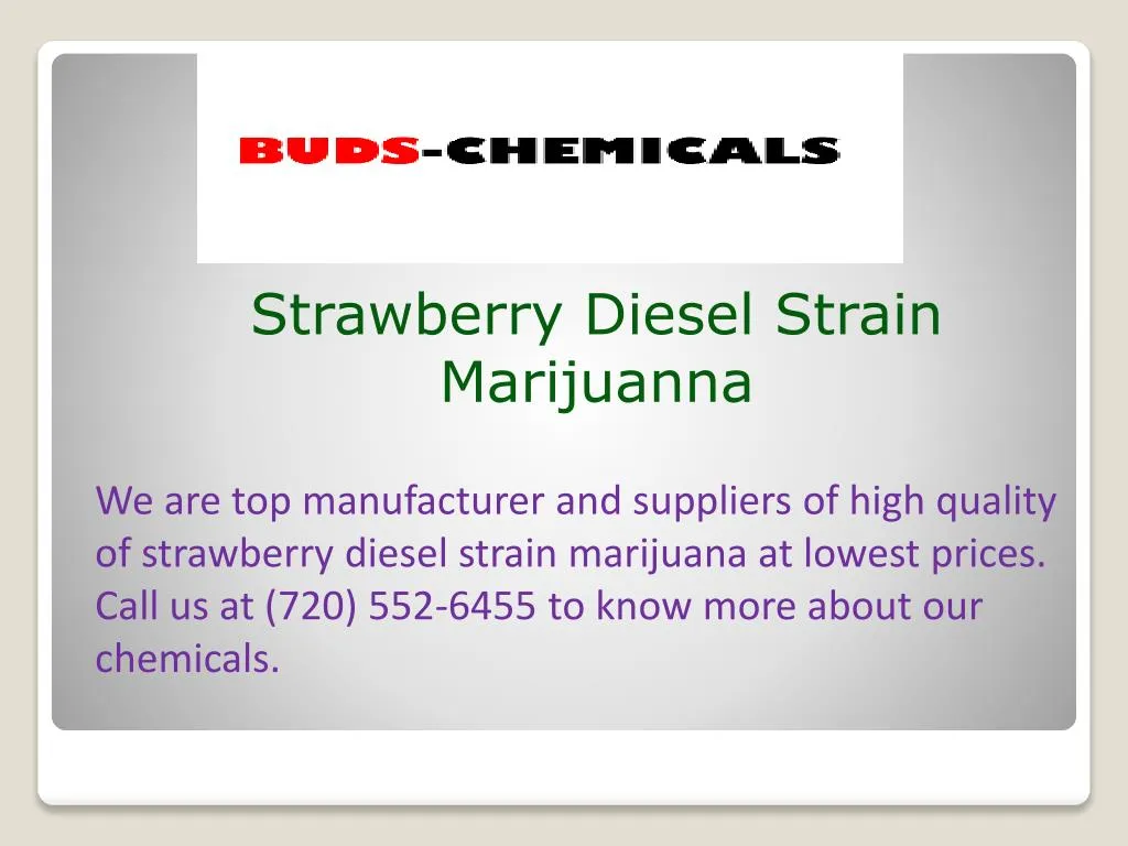 strawberry diesel strain marijuanna